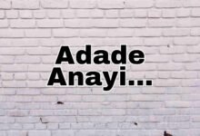 Adade Anayi img 1699121169959