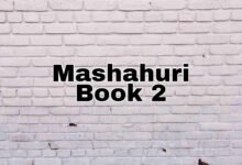 Mashahuri Book 2 Hausa Novel img 1699193399606
